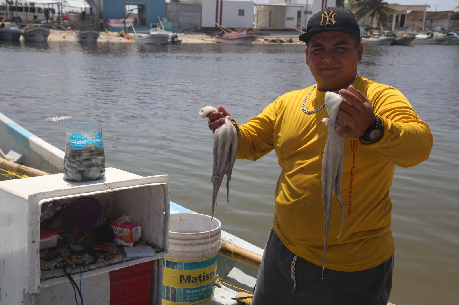 Los hombres de mar enfrentan pérdidas en la captura de pulpo