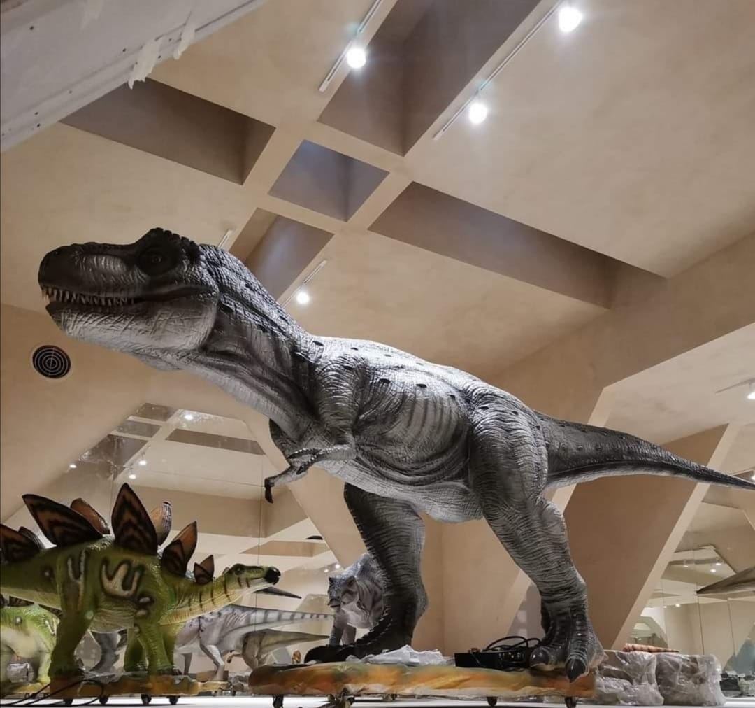 Museo del Meteorito en Progreso: Estos son los precios y horarios de visita