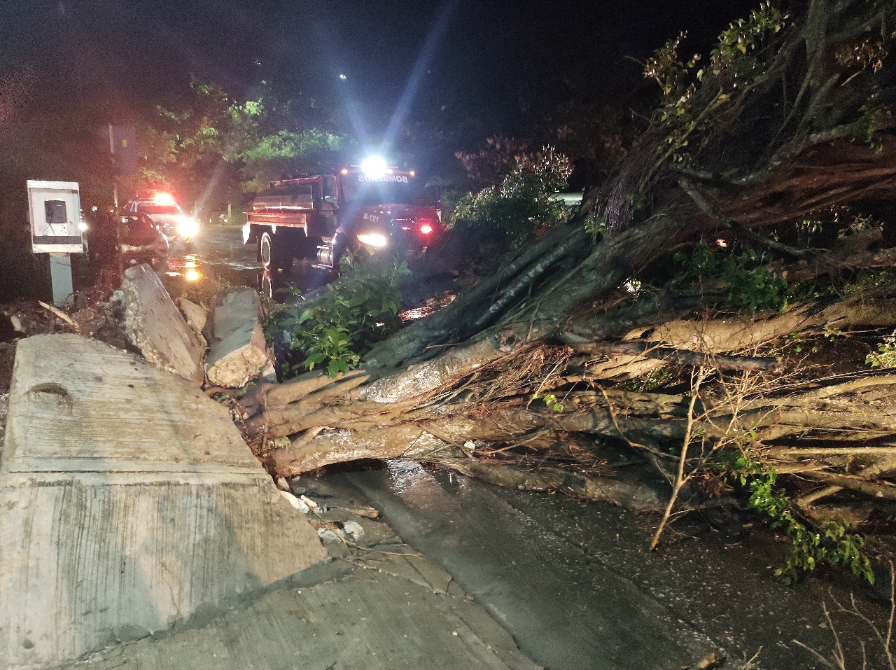 Persona electrocutada, árboles caídos y techos derrumbados por lluvia en Campeche Persona electrocutada, árboles caídos y techos derrumbados por lluvia en Campeche
