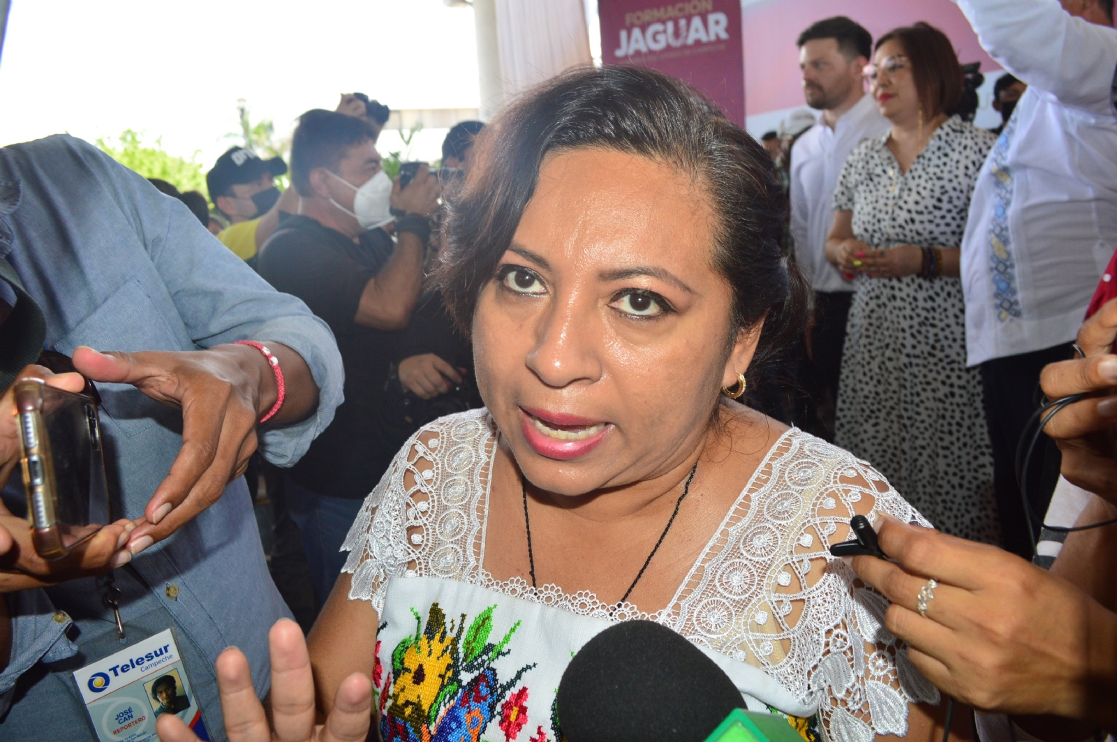 Cortés Moo culpó a la PNT de presentar fallos en su sistema
