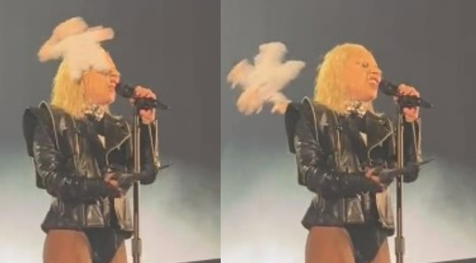 Lady Gaga fue golpeada con un Dr. Simi de peluche. Foto: Especial