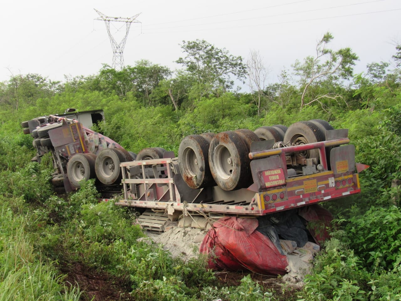 La unidad pesada quedó dentro de la maleza tras el accidente
