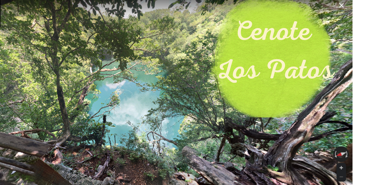 Campeche: ¿Se puede nadar en el cenote de Los Patos?