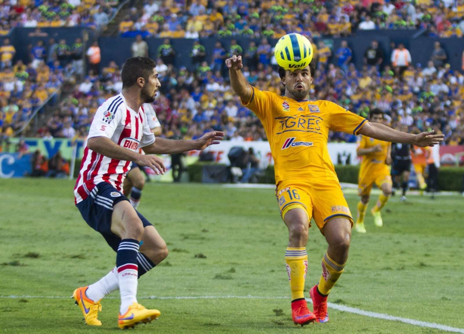 Chivas vs Tigres: Sigue en vivo el partido de la Jornada nueve del Apertura 2022 de la Liga MX Chivas vs Tigres: Sigue en vivo el partido de la Jornada nueve del Apertura 2022 de la Liga MX