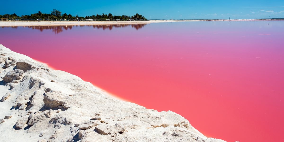 Las Coloradas es uno de los sitios turísticos más famosos de Yucatán Las Coloradas es uno de los sitios turísticos más famosos de Yucatán