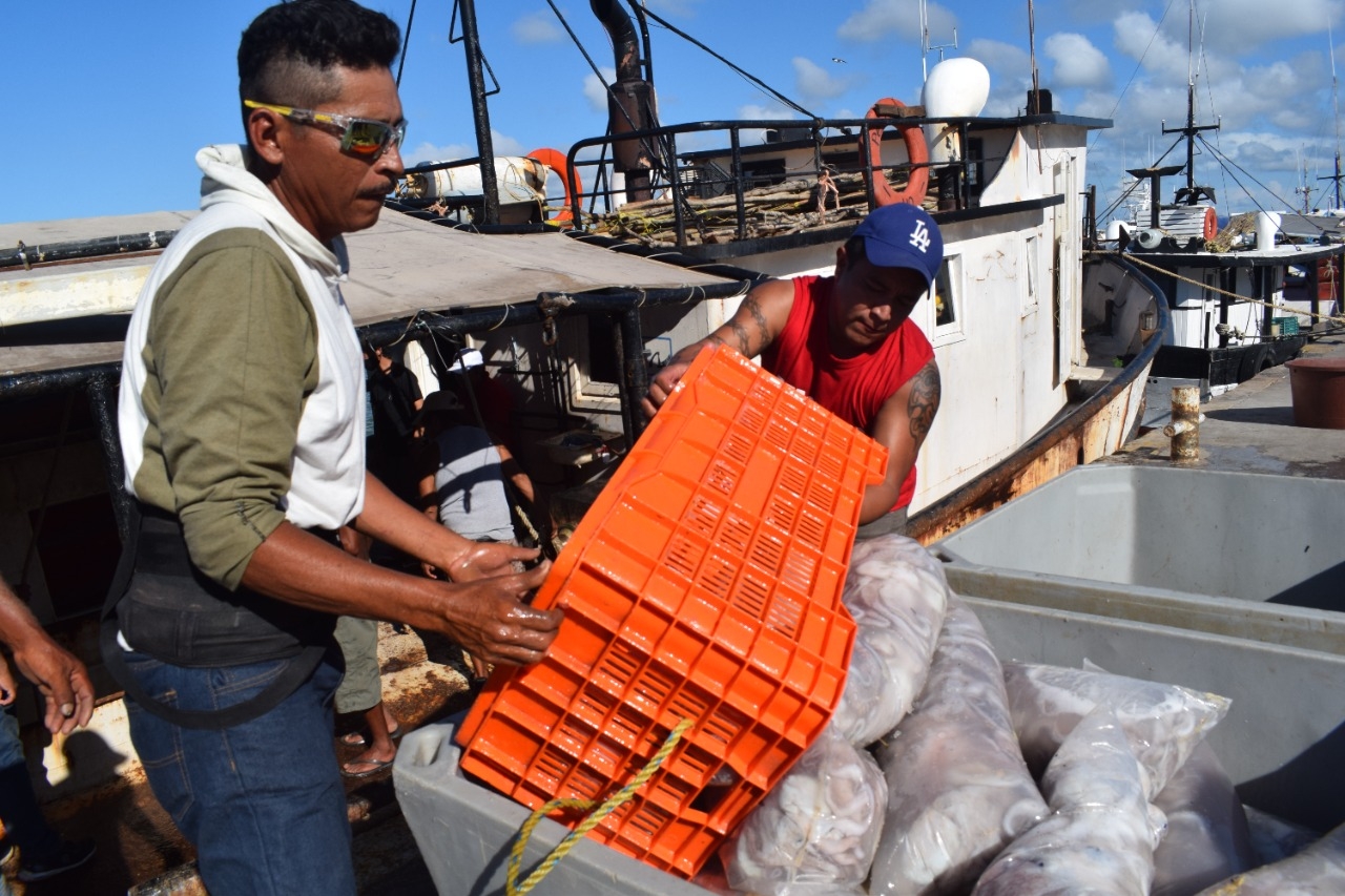 La pesca furtiva daña esta actividad, pues no permite que las especies se desarrollen
