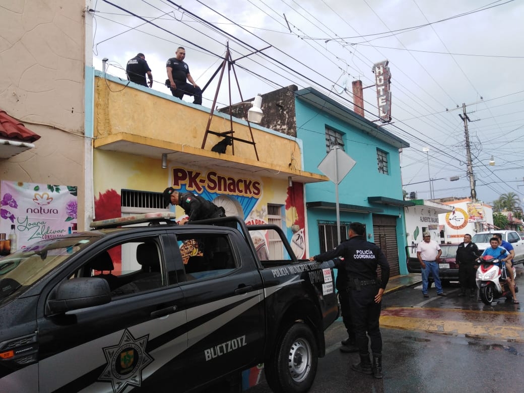 El perro se encontraba en el techo durante las fuertes lluvias de este domingo