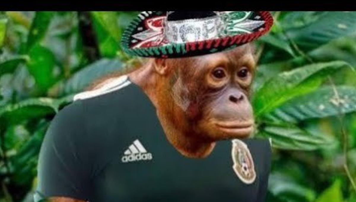 México pierde contra Colombia y explotan los memes y críticas en redes sociales México pierde contra Colombia y explotan los memes y críticas en redes sociales
