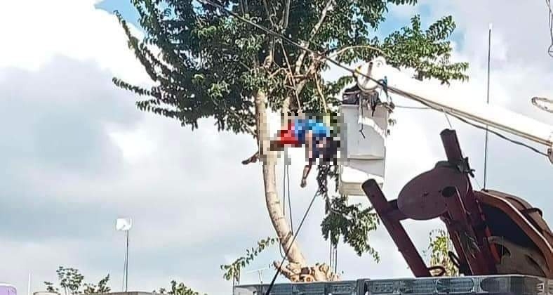 El empleado chocó su machete contra los cables de alta tensión que se encontraban cerca del árbol El empleado chocó su machete contra los cables de alta tensión que se encontraban cerca del árbol