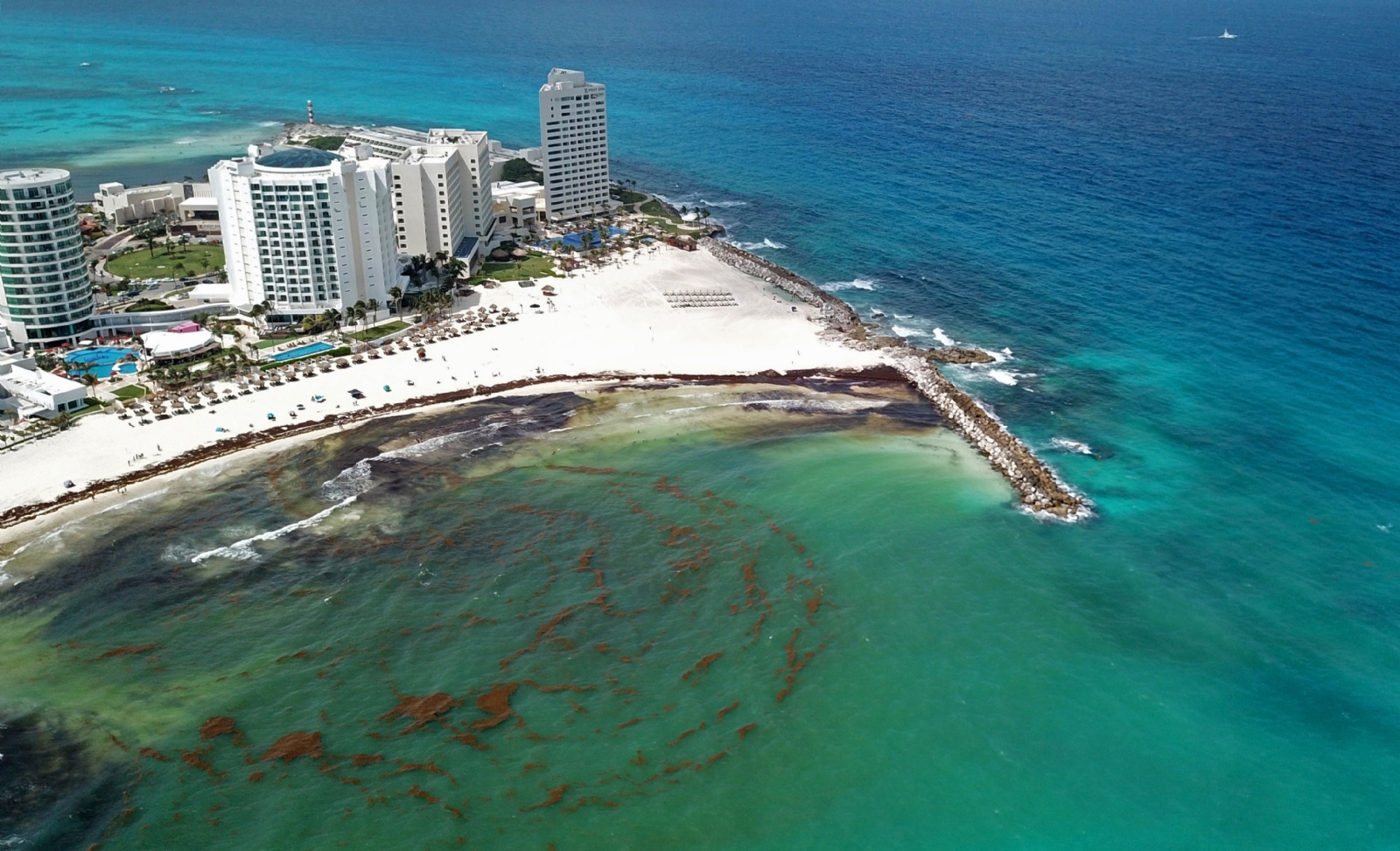Cozumel fue el destino turístico de Quintana Roo que registró mayores afectaciones por el recale de sargazo