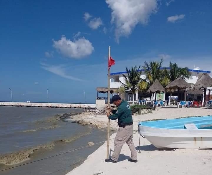 Cuadrillas de la Policía Ecológica recorrieron la zona costera para remover los banderines