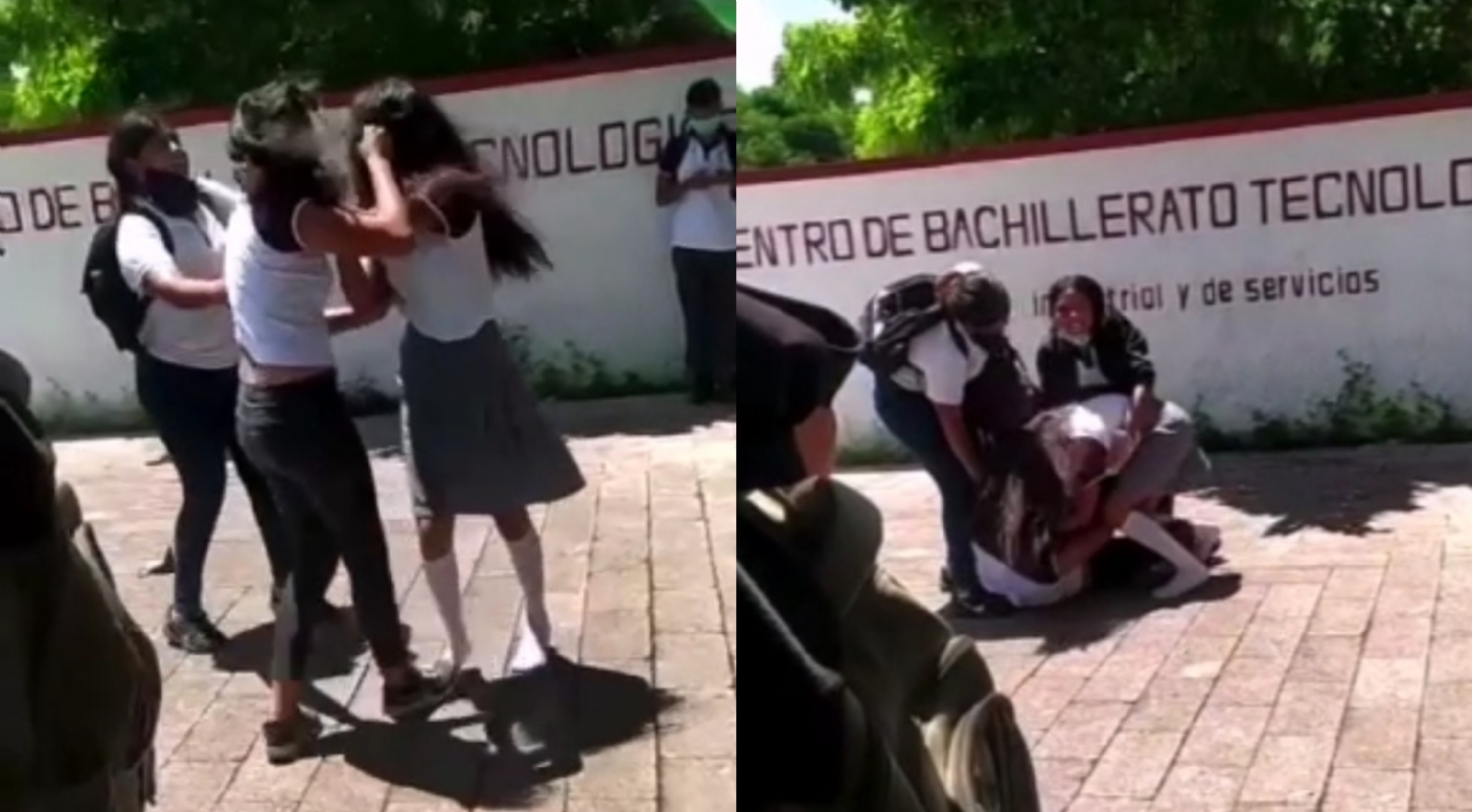 Las estudiantes comenzaron a discutir a la salida de la escuela, la riña subió de nivel cuando una de ellas golpeó a la otra Las estudiantes comenzaron a discutir a la salida de la escuela, la riña subió de nivel cuando una de ellas golpeó a la otra