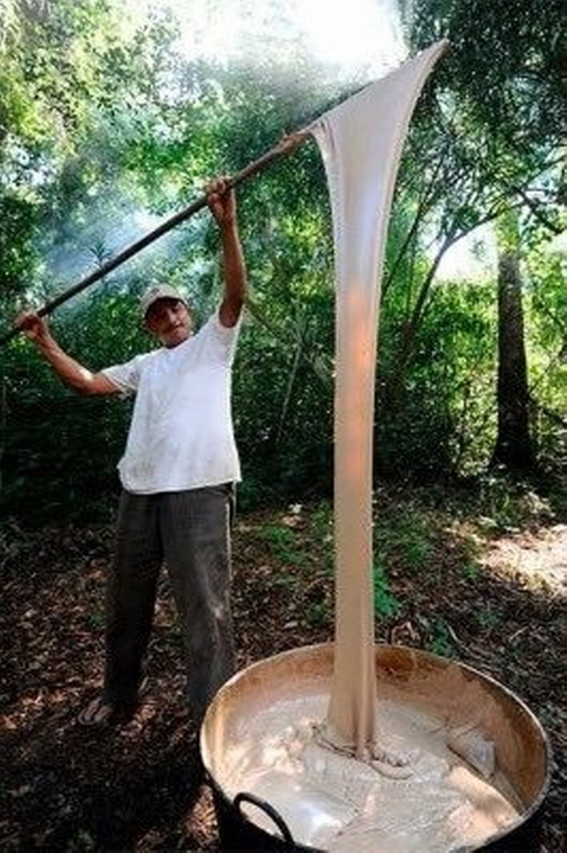 La manera artesanal y todo lo que implica extraer la resina no tiene un precio que sea redituable