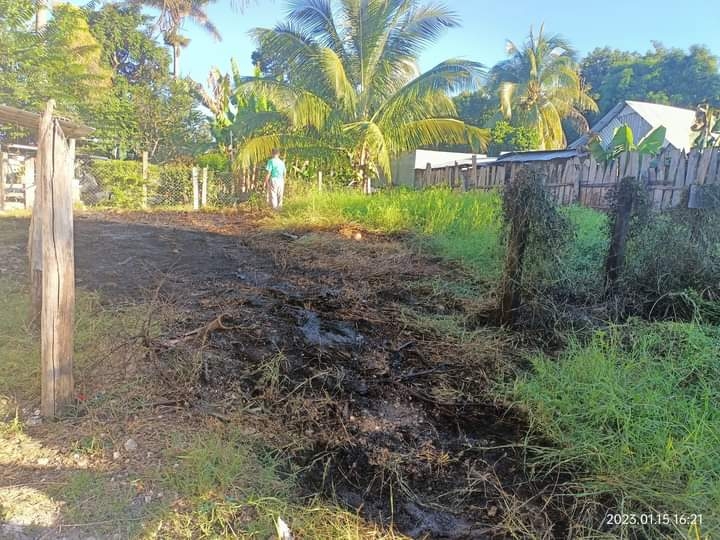 Se desconocen las causas del incendio Se desconocen las causas del incendio