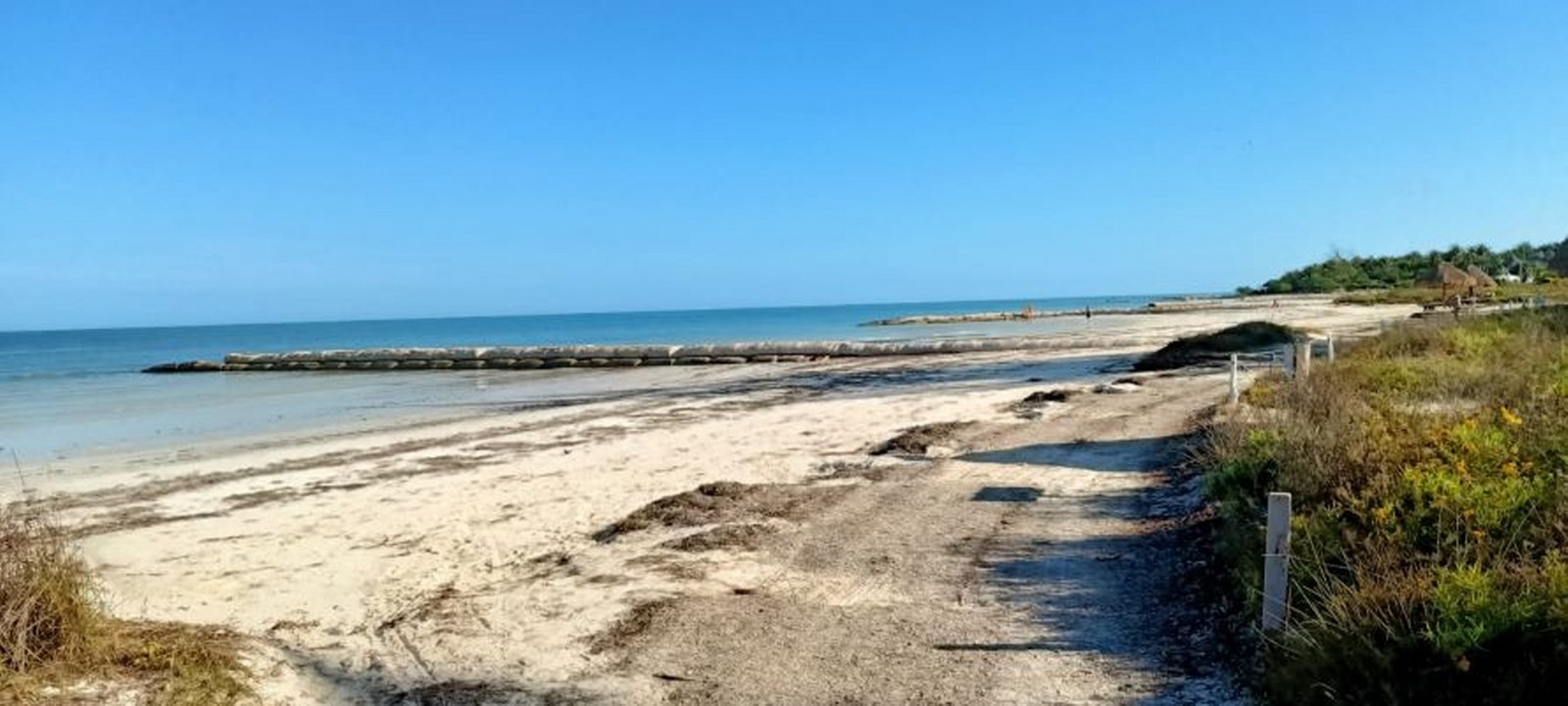 Habitantes y prestadores de servicios piden se refuerce la vigilancia nocturna en Punta Cocos Habitantes y prestadores de servicios piden se refuerce la vigilancia nocturna en Punta Cocos