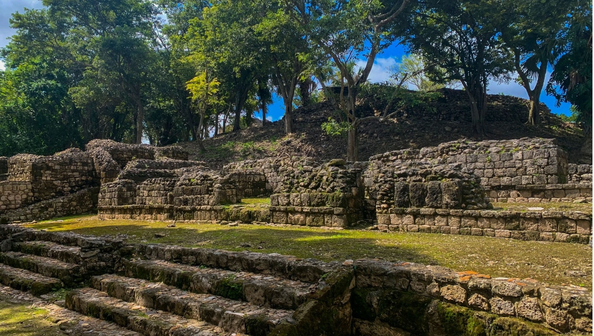 Se prepara la excavación y construcción de un nuevo Centro de Visitantes
