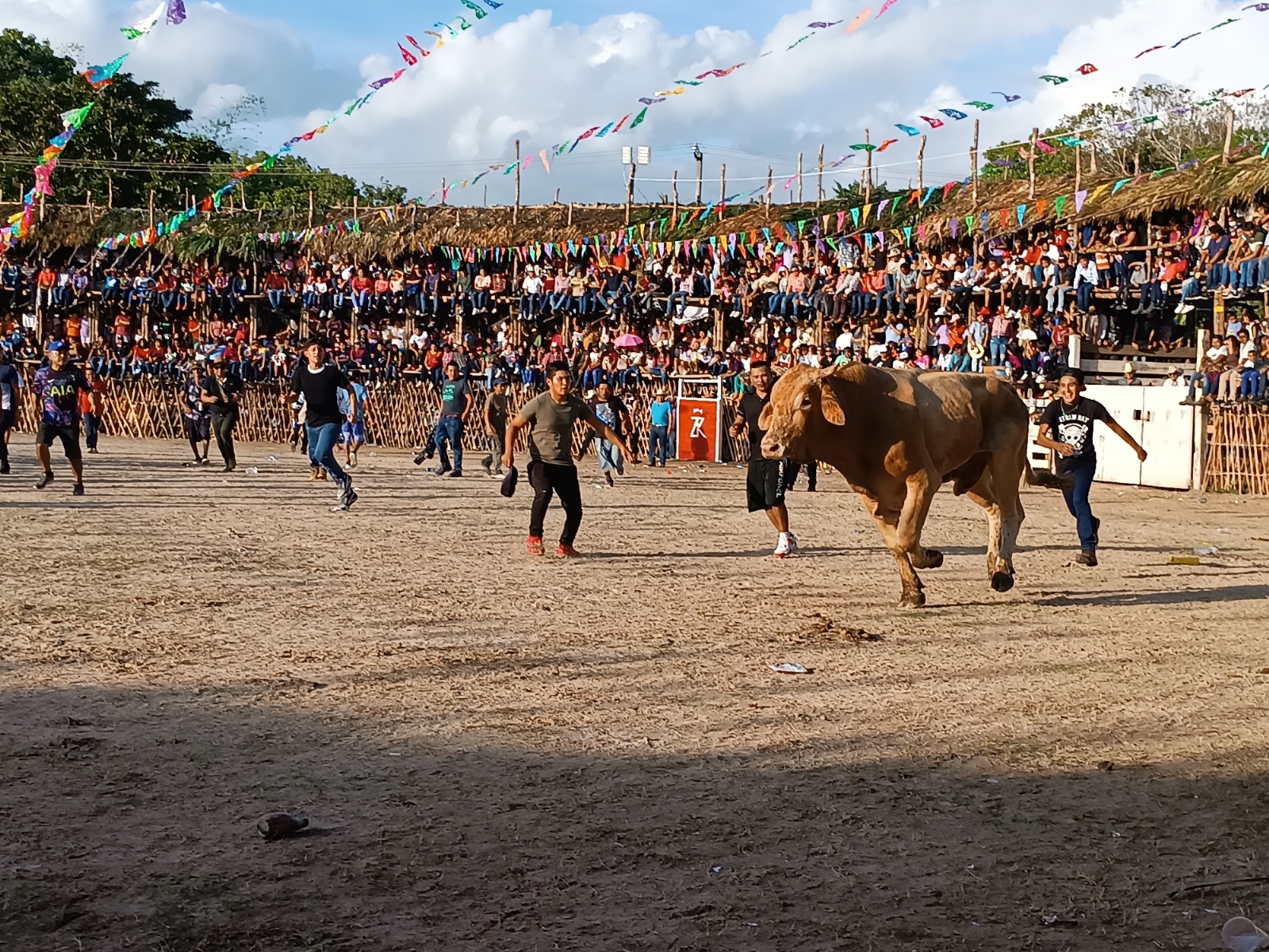 El evento dejó a cuatro personas lesionadas al ser embestidas por los bovinos en el redonde El evento dejó a cuatro personas lesionadas al ser embestidas por los bovinos en el redonde