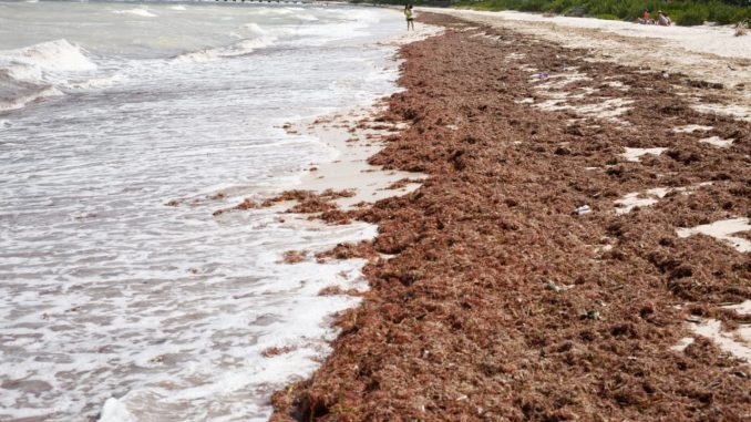Turistas nacionales y extranjeros se dieron cita este lunes en las playas del pueblo mágico