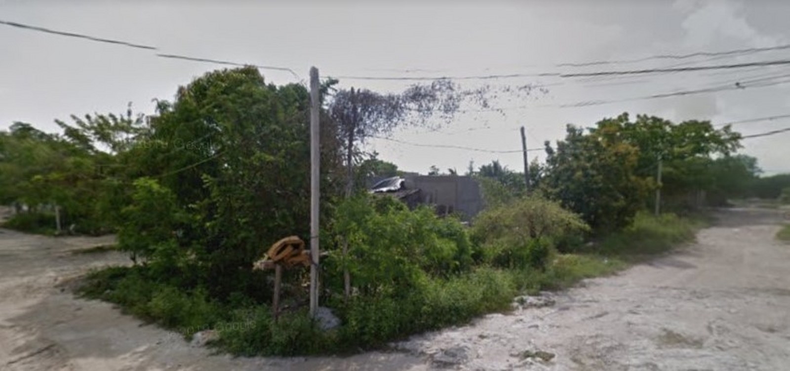 CFE se niega a dar servicio a más de 40 asentamientos irregulares de Isla Mujeres