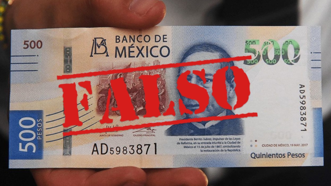 Una mujer fue detenida durante el operativo en el Estado de México