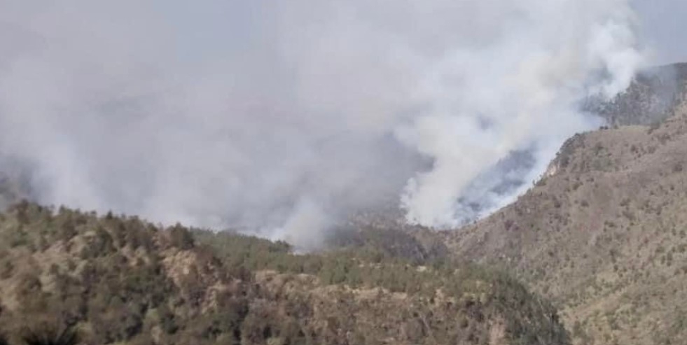 Cerca de 30 hectáreas del bosque en el Pico de Orizaba habrían sido consumidas