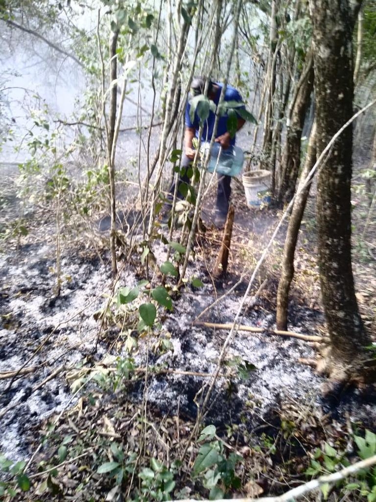 En Isla Mujeres se ha registrado el primer incendio forestal de 2023 la mañana de este lunes