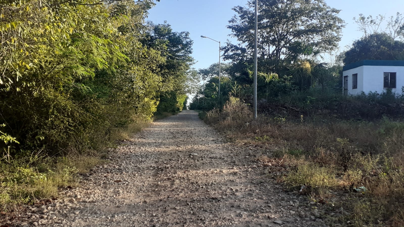 Elementos de la policía llegaron y el hombre se escapó Elementos de la policía llegaron y el hombre se escapó