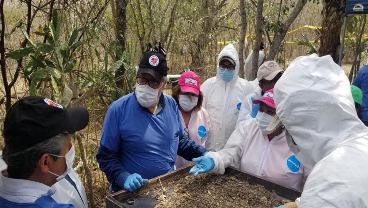 Miles de cuerpos han sido encontrados en Veracruz en los últimos años Miles de cuerpos han sido encontrados en Veracruz en los últimos años