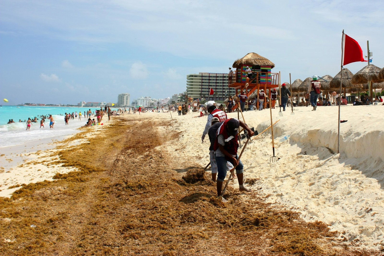 Algunos arenales afectados serán Del Niño, Las Perlas, Chac Mool, Ballenas y Delfines: Especialistas