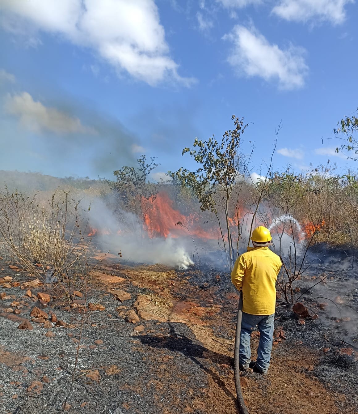 En Tekax se registró el segundo incendio forestal en Yucatán que arrasó con 10 hectáreas de monte En Tekax se registró el segundo incendio forestal en Yucatán que arrasó con 10 hectáreas de monte