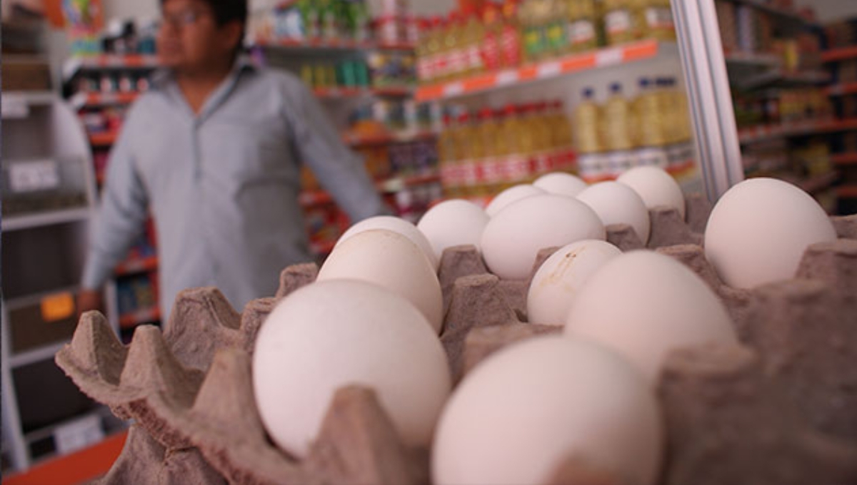 Precio del huevo va en aumento en todo el estado a causa de la gripe aviar