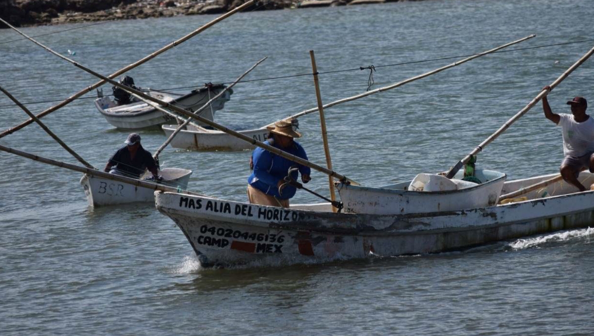 Fiscalía General del Estado (FGE) se hará cargo de las sanciones para los pescadores