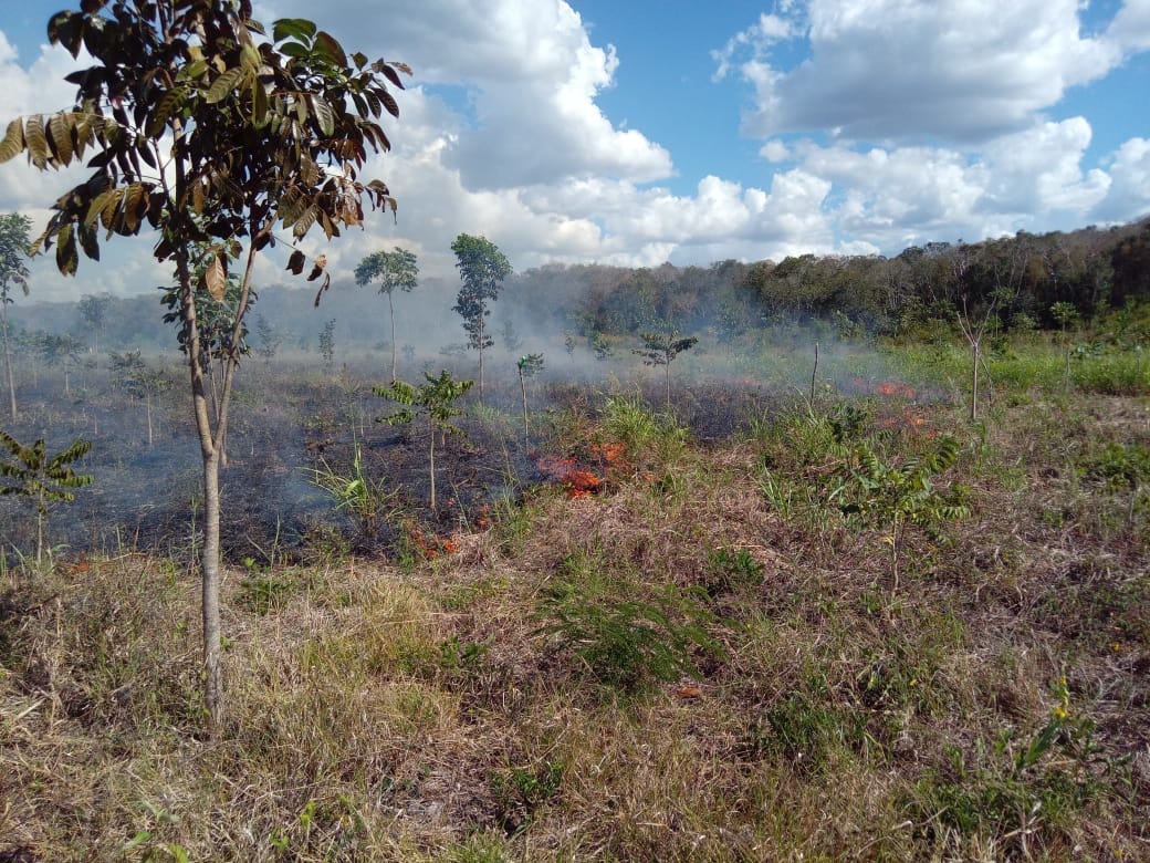 Aún se desconoce la persona que fue afectada por este incendio en Holpechén Aún se desconoce la persona que fue afectada por este incendio en Holpechén