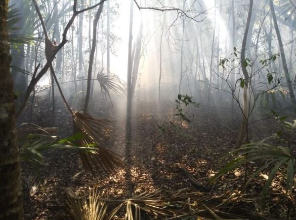 Fue necesaria la intervención de 17 trabajadores de la Conafor para extinguir el fuego