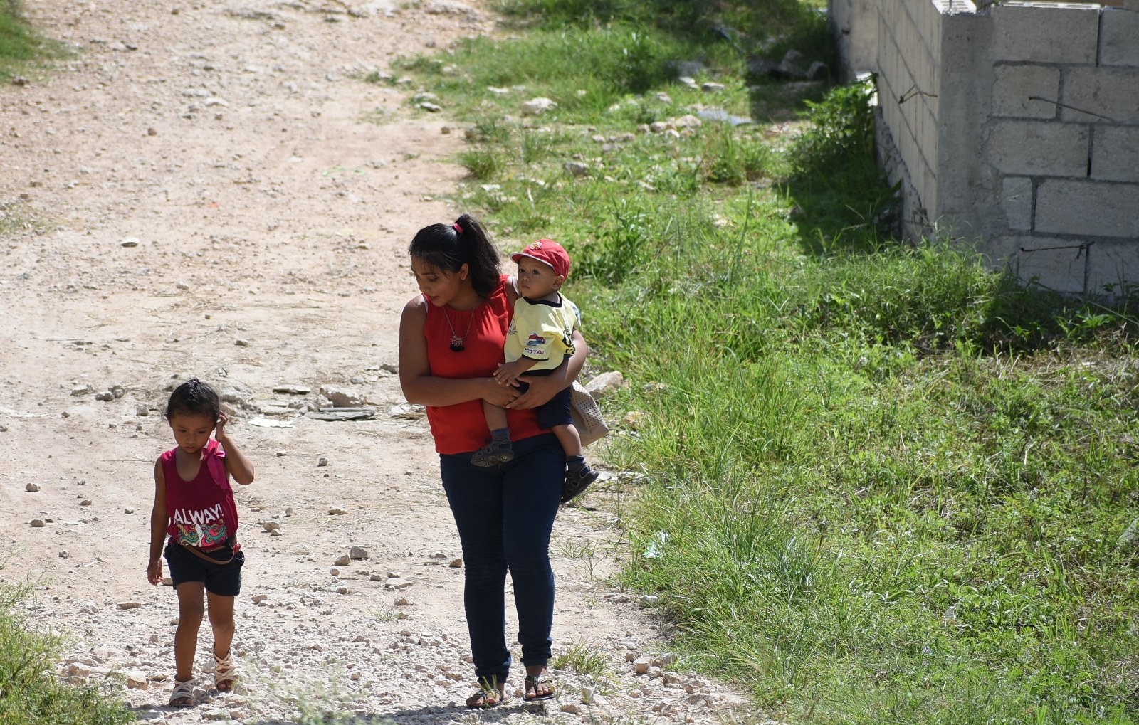 Campeche es la Entidad que mayor asignación recibirá, con 270 mil 372 millones 625 mil 864 pesos, seguida de Yucatán y por último, el Estado quintanarroense