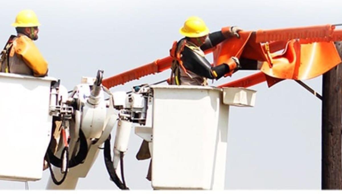 En Campeche el corte de luz será de 8:00 a 15:00 horas, informó la paraestatal En Campeche el corte de luz será de 8:00 a 15:00 horas, informó la paraestatal