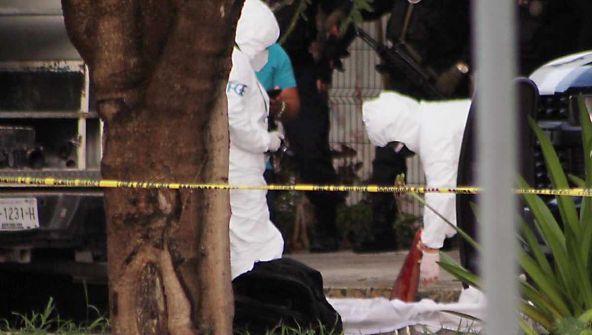 En el Estado no se ha activado la alerta de género, pese a los asesinatos cometidos En el Estado no se ha activado la alerta de género, pese a los asesinatos cometidos
