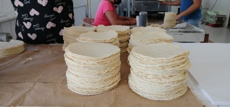 El precio de la tortilla se mantendrá en 21 pesos el kilo en Sabancuy El precio de la tortilla se mantendrá en 21 pesos el kilo en Sabancuy