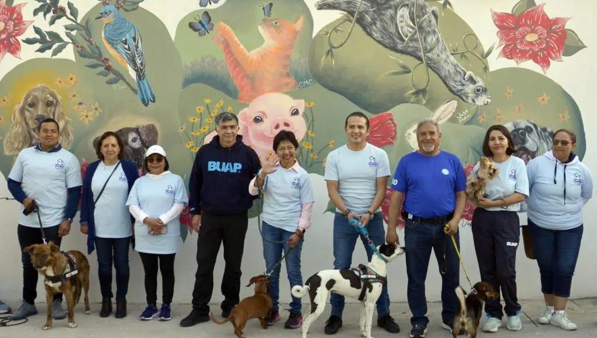 En la Universidad de Puebla está el único Centro de Apoyo Emocional y Terapia Ocupacional con Animales En la Universidad de Puebla está el único Centro de Apoyo Emocional y Terapia Ocupacional con Animales