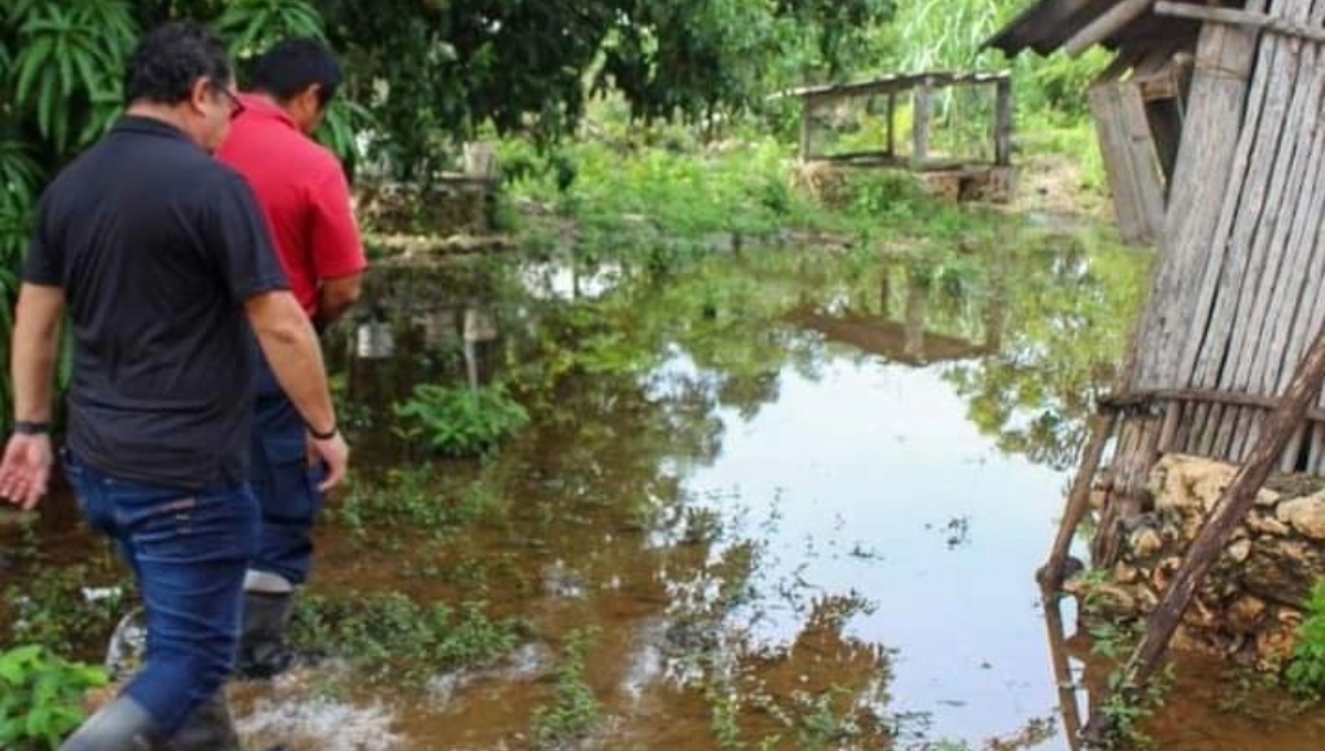 Los vecinos de Hopelchén exigen fumigación para no contagiarse de la enfermedad Los vecinos de Hopelchén exigen fumigación para no contagiarse de la enfermedad