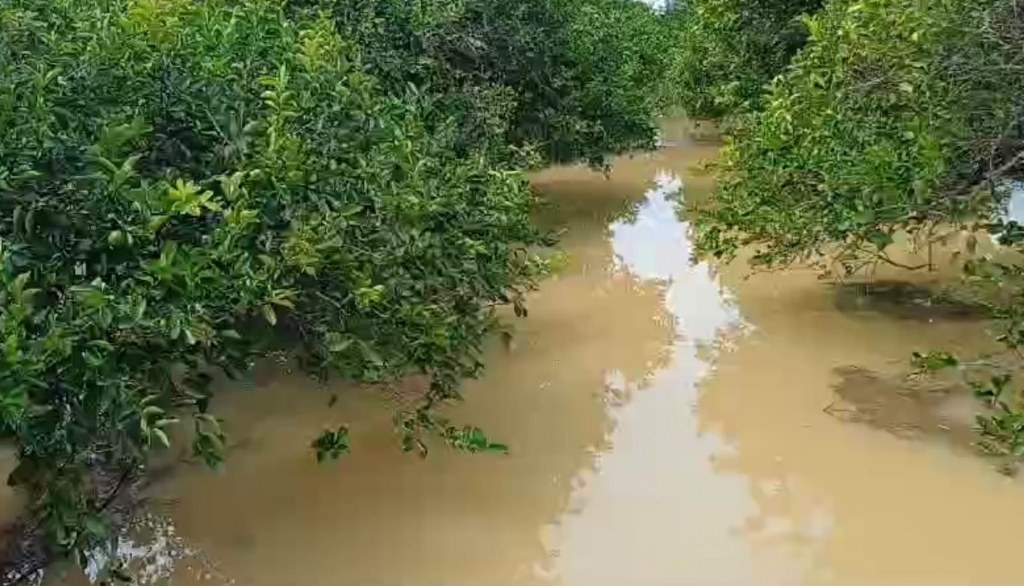 Inundaciones por lluvias preocupa a los agricultores en zonas bajas de José María Morelos