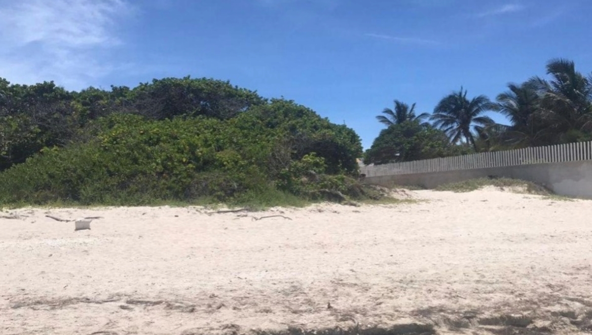 Los terrenos a la orilla de la playa son más costosos que dentro de la ciudad