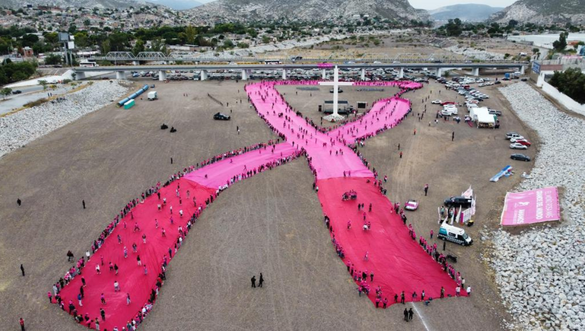 La tela servirá para crear pañuelos y ayudar a mujeres con cáncer La tela servirá para crear pañuelos y ayudar a mujeres con cáncer