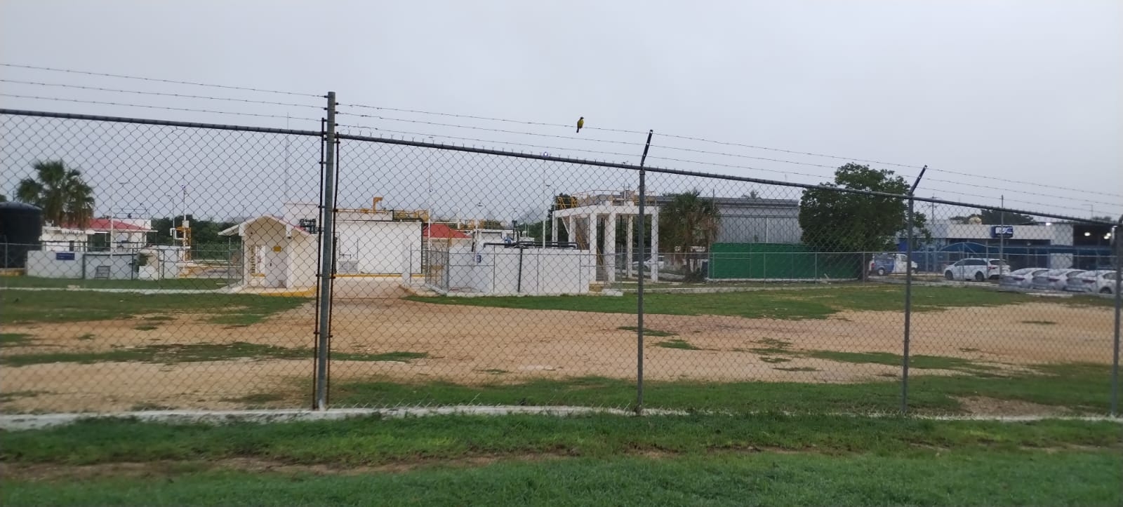 La niebla poco a poco se fue disipando del aeropuerto de Mérida