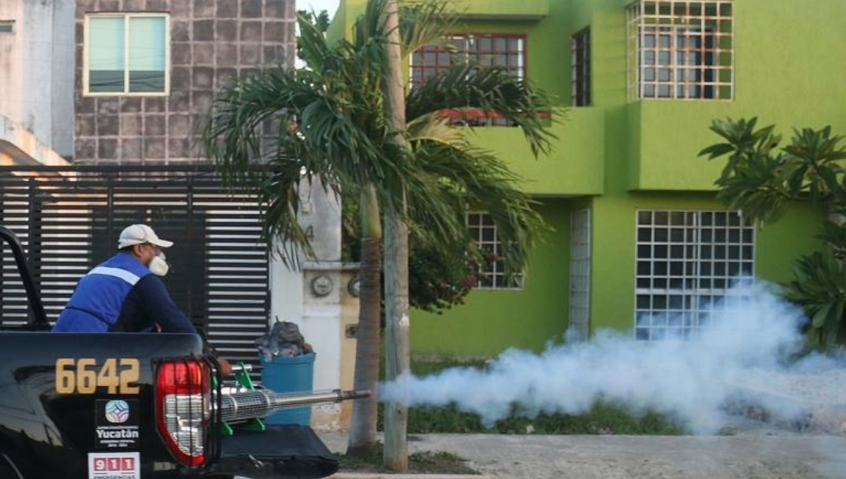 Este viernes informamos que la Secretaría de Salud reportó que, al día, se dan hasta 100 casos de dengue, en promedio