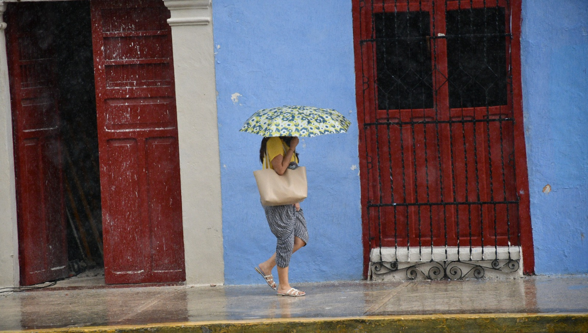 Este año ha llovido solo una tercera parte de lo que normalmente llueve en un año