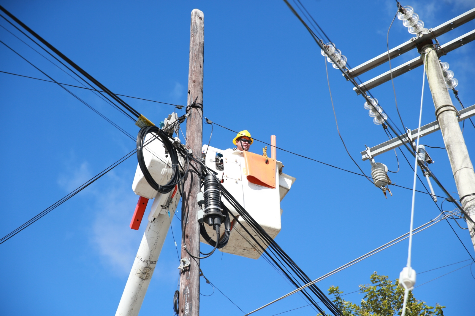 La Subestación Eléctrica Leona Vicario permitirá la distribución energía.