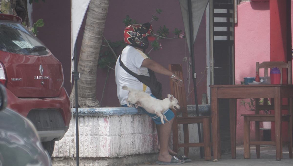 El primero municipio con más denuncias es Campeche, seguido de Carmen, Escárcega, Champotón y Calkiní