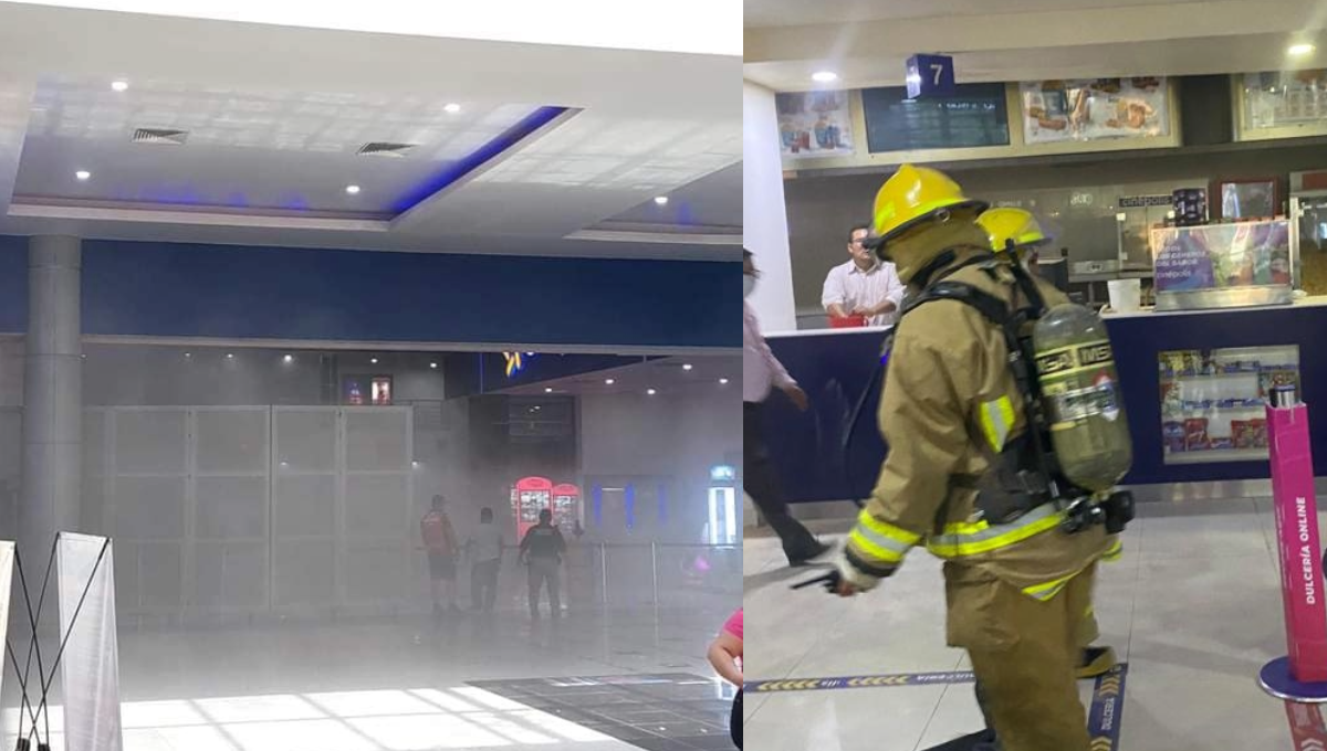Al lugar llegaron elementos de los bomberos Al lugar llegaron elementos de los bomberos