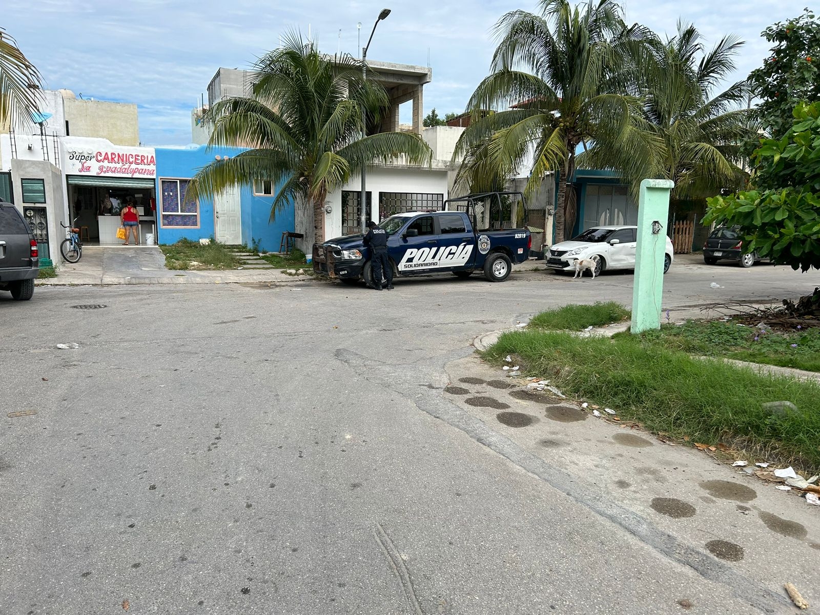 El golpe que se produjo en la cabeza, fue fatal. El golpe que se produjo en la cabeza, fue fatal.